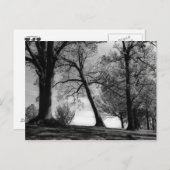 Cemscape Briefkaart (Voorkant / Achterkant)