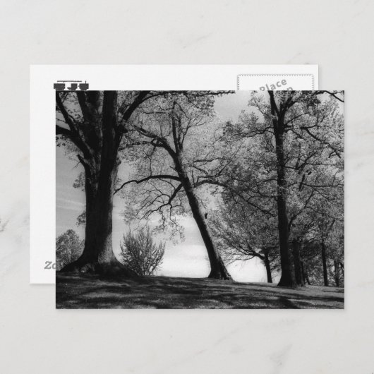 Cemscape Briefkaart (Voorkant / Achterkant)