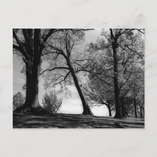 Cemscape Briefkaart (Voorkant)