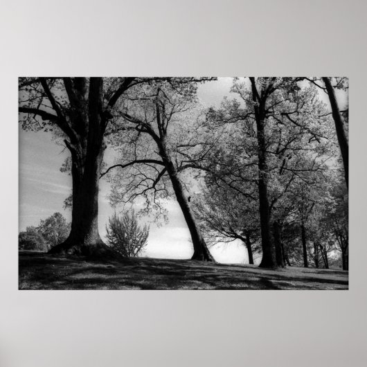 Cemscape Poster (Voorkant)