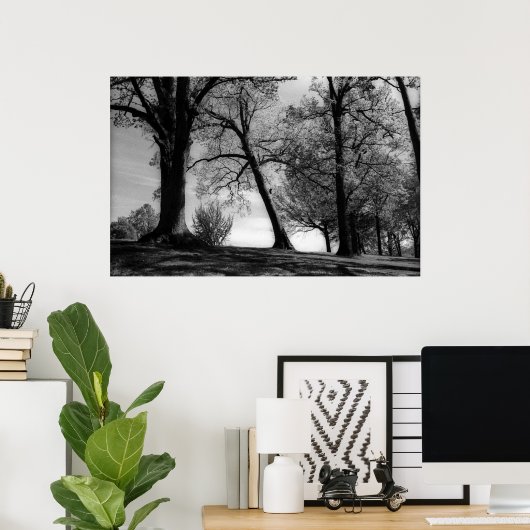 Cemscape Poster (Thuiskantoor)