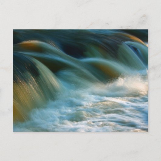 Cenarth Herfsten Briefkaart (Voorkant)