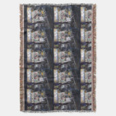 Cenosillicaphia, Singapore Deken (Voorkant Verticaal)