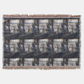 Cenosillicaphia, Singapore Deken (Voorkant)