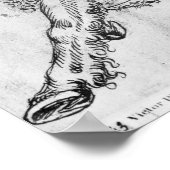 Centaur, van het Album Vallardi Poster (Hoek)