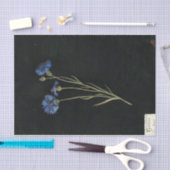 Centaurea Cyanus door Mary Delany Tissuepapier (Craft)