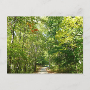 Centennial bebost pad I Ellicott City natuur Briefkaart