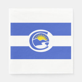 Centennial City Flag (Colorado) Servet
