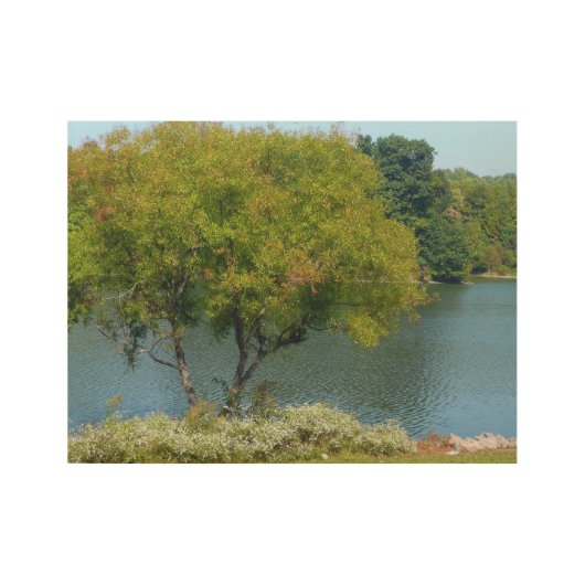 Centennial Lake in Ellicott City Maryland Houten Poster (Voorkant)