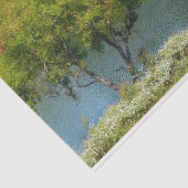 Centennial Lake in Ellicott City Maryland Tissuepapier (Detail)