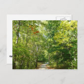 Centennial Wooded Path I Ellicott City Natuur Briefkaart (Voorkant / Achterkant)