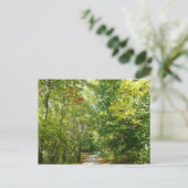Centennial Wooded Path I Ellicott City Natuur Briefkaart (Staand voorkant)