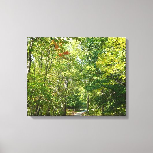 Centennial Wooded Path I Ellicott City Natuur Canvas Afdruk (Voorkant)
