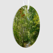 Centennial Wooded Path I Ellicott City Natuur Ornament (voorkant)