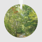 Centennial Wooded Path I Ellicott City Natuur Ornament (achterkant)