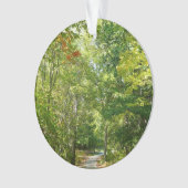 Centennial Wooded Path I Ellicott City Natuur Ornament (voorkant)