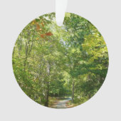 Centennial Wooded Path I Ellicott City Natuur Ornament (voorkant)