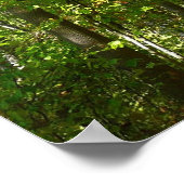 Centennial Wooded Path I Ellicott City Natuur Poster (Hoek)