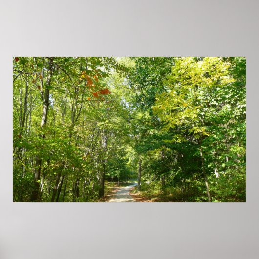 Centennial Wooded Path I Ellicott City Natuur Poster (Voorkant)