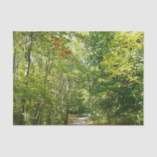 Centennial Wooded Path I Ellicott City Natuur Tissuepapier (Voorkant)