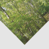 Centennial Wooded Path I Ellicott City Natuur Tissuepapier (Detail)