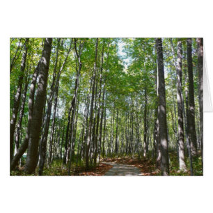 Centennial Wooded Path II Ellicott City Maryland