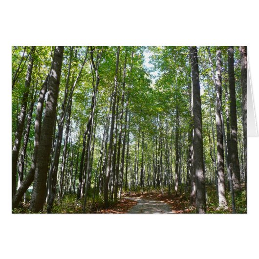 Centennial Wooded Path II Ellicott City Maryland (Voorkant Horizontaal)
