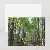 Centennial Wooded Path II Ellicott City Maryland (Voorkant / Achterkant)