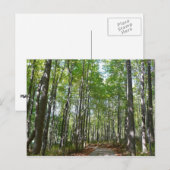 Centennial Wooded Path II Ellicott City Maryland Briefkaart (Voorkant / Achterkant)