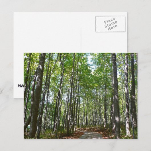 Centennial Wooded Path II Ellicott City Maryland Briefkaart (Voorkant / Achterkant)