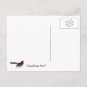 Centennial Wooded Path II Ellicott City Maryland Briefkaart (Achterkant)