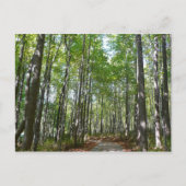 Centennial Wooded Path II Ellicott City Maryland Briefkaart (Voorkant)