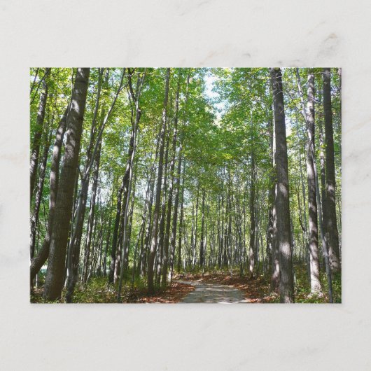 Centennial Wooded Path II Ellicott City Maryland Briefkaart (Voorkant)