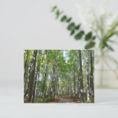 Centennial Wooded Path II Ellicott City Maryland Briefkaart (Staand voorkant)