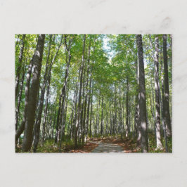 Centennial Wooded Path II Ellicott City Maryland Briefkaart