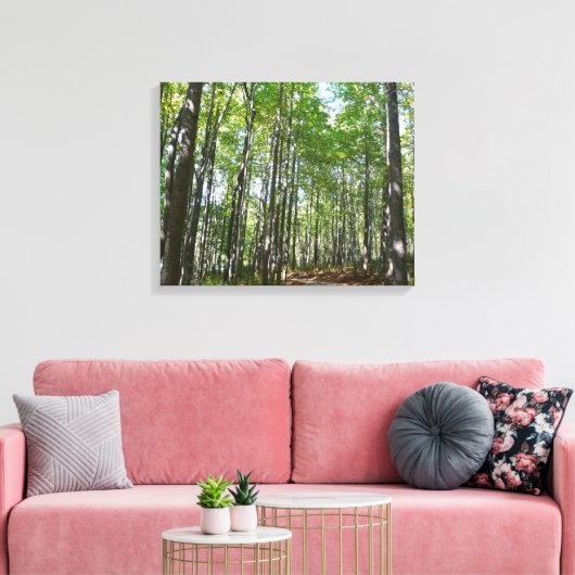 Centennial Wooded Path II Ellicott City Maryland Canvas Afdruk (Insitu (Woonkamer))