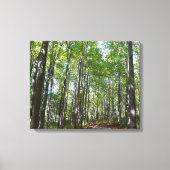 Centennial Wooded Path II Ellicott City Maryland Canvas Afdruk (Voorkant)