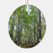 Centennial Wooded Path II Ellicott City Maryland Keramisch Ornament (Links)