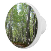 Centennial Wooded Path II Ellicott City Maryland Keramische Knop (Rechts)