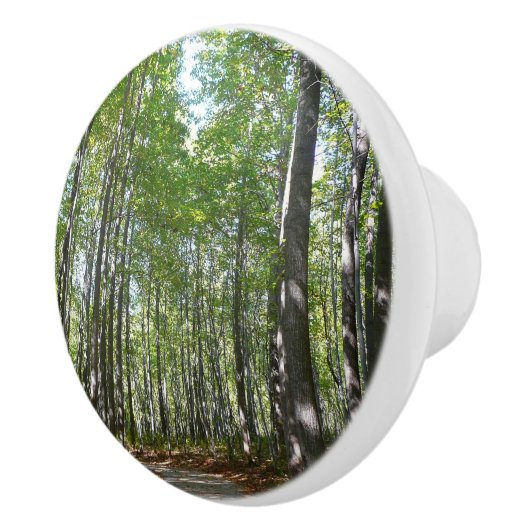 Centennial Wooded Path II Ellicott City Maryland Keramische Knop (Rechts)