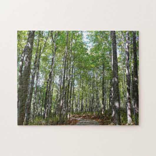 Centennial Wooded Path II Ellicott City Maryland Legpuzzel (Horizontaal)