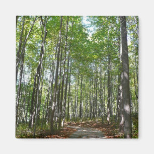 Centennial Wooded Path II Ellicott City Maryland Magneet