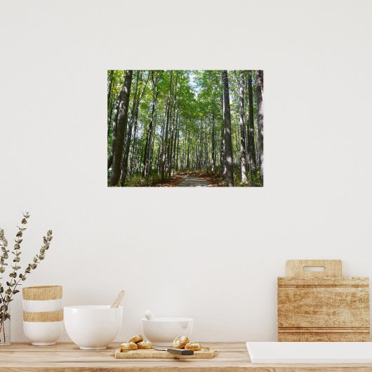 Centennial Wooded Path II Ellicott City Maryland Poster (Keuken)