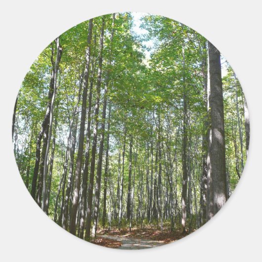 Centennial Wooded Path II Ellicott City Maryland Ronde Sticker (Voorkant)