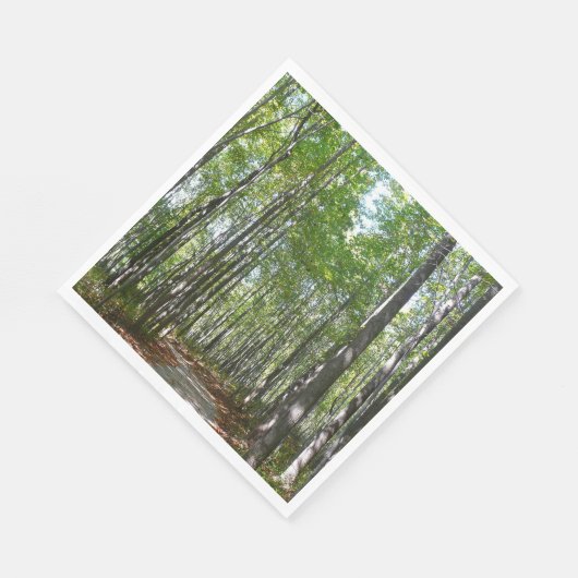 Centennial Wooded Path II Ellicott City Maryland Servet (Hoek)