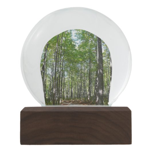 Centennial Wooded Path II Ellicott City Maryland Sneeuwbol (Voorkant)