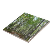 Centennial Wooded Path II Ellicott City Maryland Tegeltje (Zijkant)