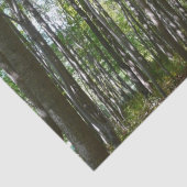 Centennial Wooded Path II Ellicott City Maryland Tissuepapier (Detail)