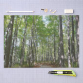 Centennial Wooded Path II Ellicott City Maryland Tissuepapier (Craft)