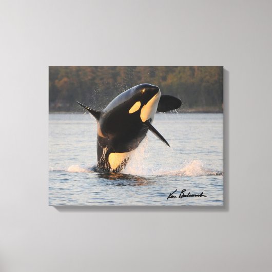 Center for Whale Research - Canvas Print (Voorkant)